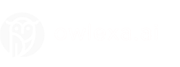 Owlexa AI Logo